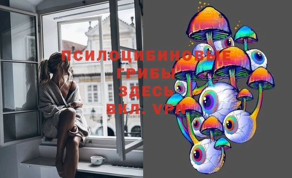 mix Алексин