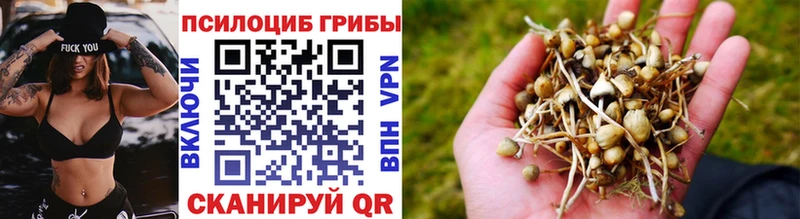как найти закладки  Родники  Галлюциногенные грибы ЛСД 